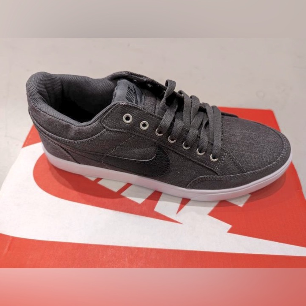 Nike skater low